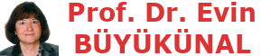Prof. Dr. Evin BÜYÜKÜNAL