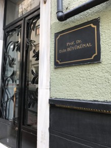 Dış kapı ve giriş